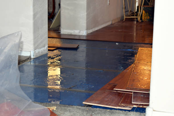 Professional Sewage Cleanup technician working in Newport, NH